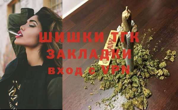 тгк Бронницы