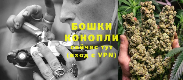 jwh Бородино