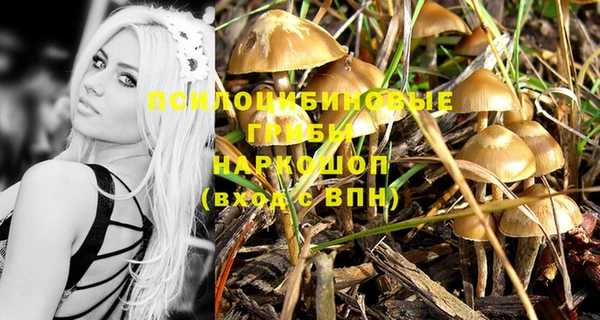 jwh Бородино