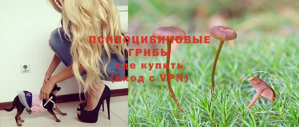 тгк Бронницы