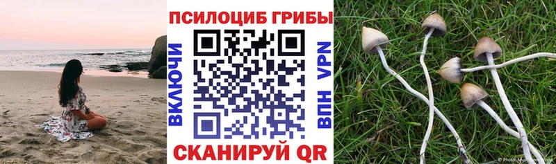Купить закладки  Лукоянов  Псилоцибиновые грибы ЛСД 