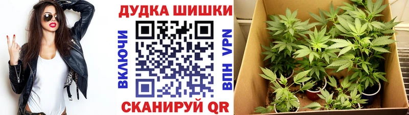 Купить закладки  Лукоянов  Бошки Шишки индика 